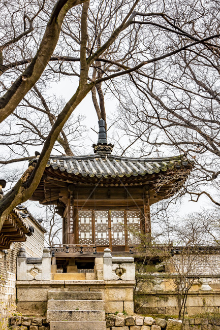 창덕궁,창덕궁후원,기와,전통기와,정자,전통담장,기와지붕,고궁,궁궐,한국전통,한국문화,korean traditional,korean culture,건축물,건물외관,exterior,building,structure,architecture,construction