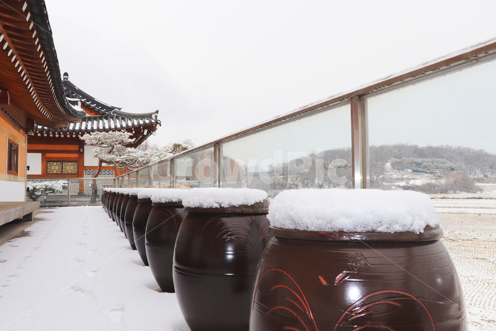 설경,눈밭,한옥,겨울한옥,한국전통,자연,snow,nature,plants,식물,겨울,한국겨울,장독대,눈오는날,눈쌓인장독대,겨울,계절,winter,season,한국전통,한국문화,korean traditional,korean culture