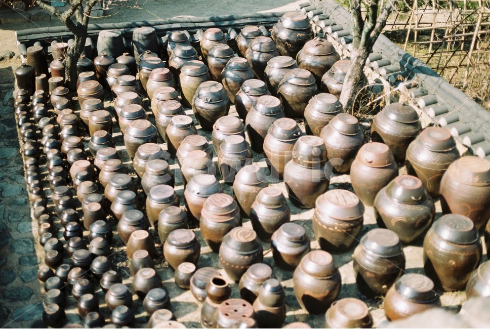 낙안읍성,민속마을,조선,장독대,필름카메라,film,순천,낙안,성곽,마을,oldtown,old,전통,traditional,한국전통,한국문화,korean traditional,korean culture