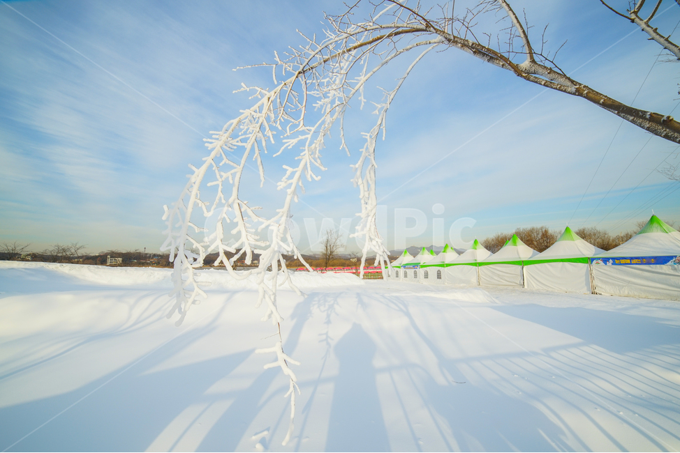 눈,흰눈,백설,썰매장,공원,나무,상고대,그림자,풍경,감성,겨울,계절,winter,season,자연,풍경,nature,landscape,outdoors,옥외,scenery