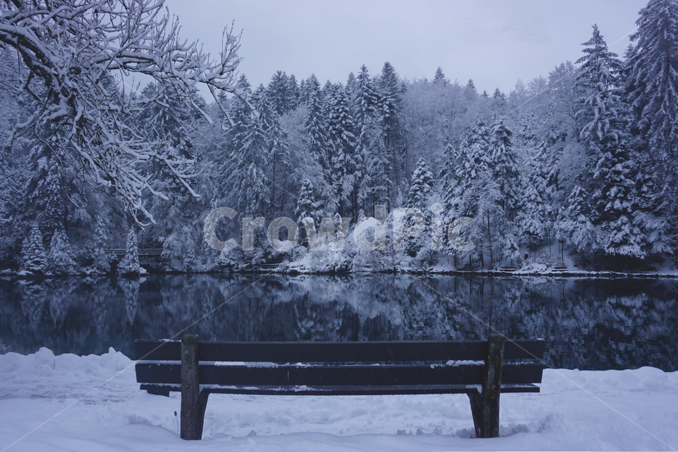 겨울,호수,스위스,벤치,눈,설산,숲,겨울숲,겨울,계절,winter,season,자연,풍경,nature,landscape,bench,tree,나무,plant,식물