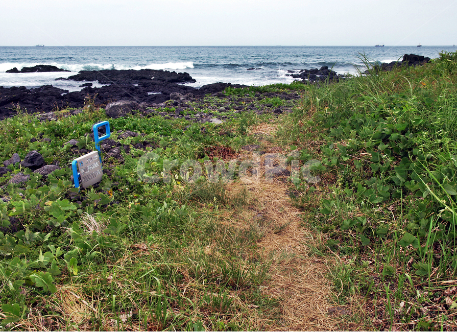 간세,해녀콩서식지,제주,올레14코스,올레길,바다,자연,풍경,nature,landscape,제주도,jeju,jeju island,ground,바닥