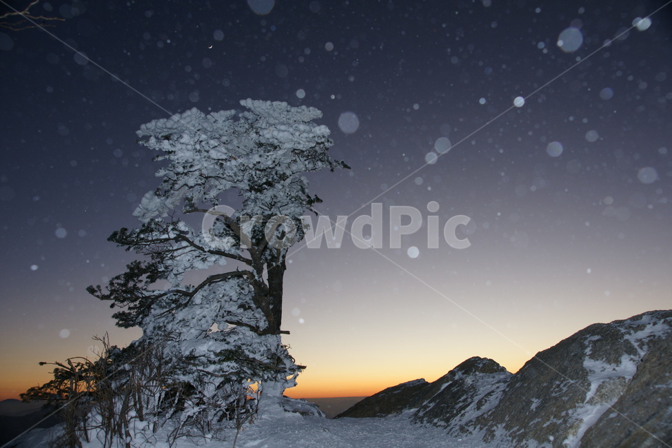 덕유산,산,겨울산,눈보라,곤도라,겨울,계절,winter,season,자연,풍경,nature,landscape,한국자연풍경,한국자연경관,korea nature landscape,야경,밤,nightscape,night,outdoors,옥외