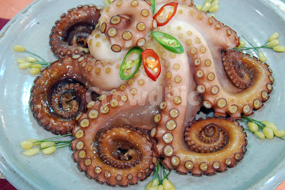 문어찜,문어,찜,통문어,통문어찜,해산물,수산물,해물,요리,음식,연체동물,싱싱한,신선한,식품,음식,식재료,요리,food,cook,meal,dishes,food reserves