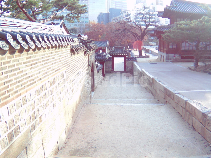 문화재,문화유산,덕수,덕수궁,경운궁,개화,건축,건축물,조선후기,구한말,19세기,개항,개항기