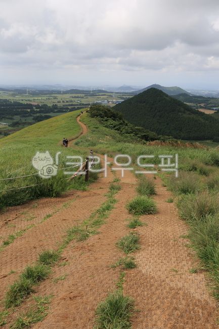 path,road,2nd lane,road name,jeju island,country road,Olle trail,uphill