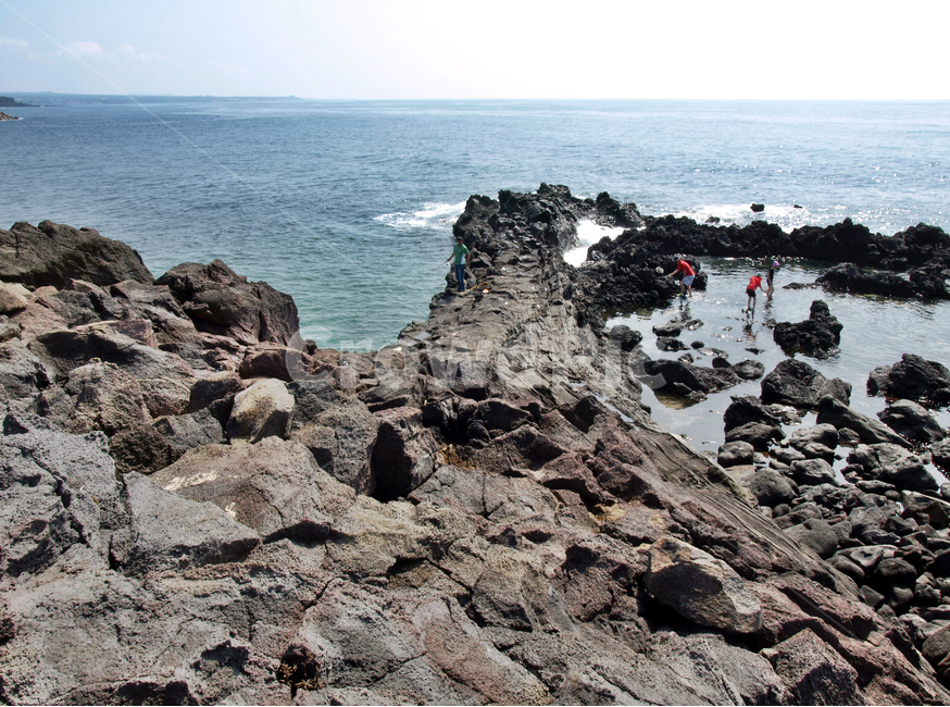 게우지코지,해변,제주,올레6코스,올레길,서귀포시,기암괴석,바다,자연,풍경,nature,landscape,한국자연풍경,한국자연경관,korea nature landscape,제주도,jeju,jeju island,rock,록,promontory,곶,outdoors,옥외,ocean,대양,water,물,sea,shoreline,해안선