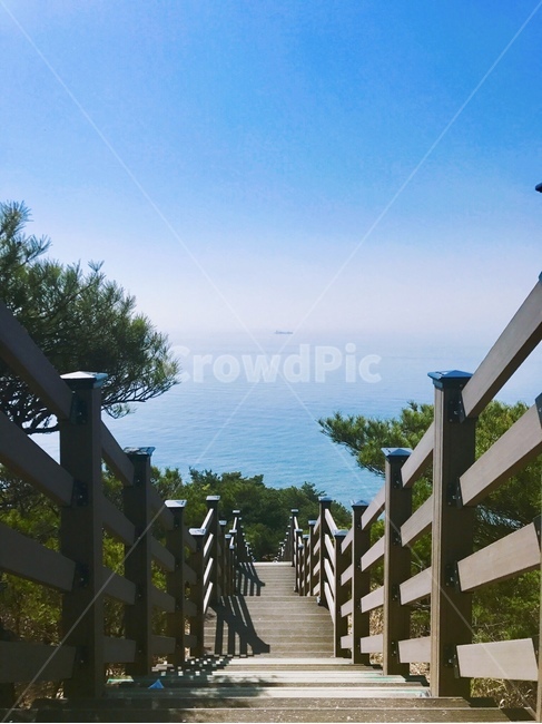 풍경,소나무,계단,바다,자연,bright,beautiful,landscape,view,nature,blue,stairs,step,banister,난간,여행,trip