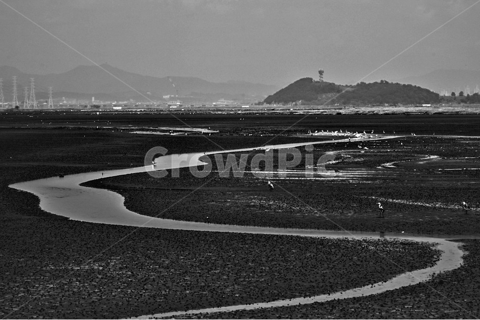 갯골,바다,썰물,물길,흑백,모노,자연,풍경,nature,landscape,흑백,모노톤,monochrome,black and white