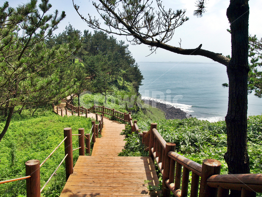 송악산,올레10코스,올레,서귀포시,제주,바다,목책길,자연,풍경,nature,landscape