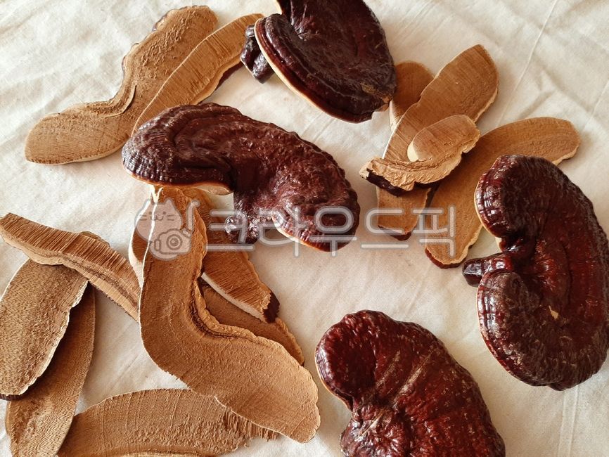 Reishi,tea ingredients,tea,reishi mushroom,ingredients,mushroom,herbal medicine,herbal tea