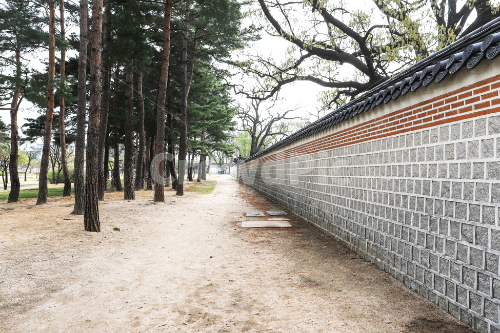경복궁,문화재,서울,건축,궁전,지붕,기와,돌담,돌기둥,고건축,종로구,한국,기둥,흙길,나무,하늘,야외,담장,담,벽돌담,산책,한국전통,한국문화,korean traditional,korean culture,건축물,건물외관,exterior,building,structure,architecture,construction