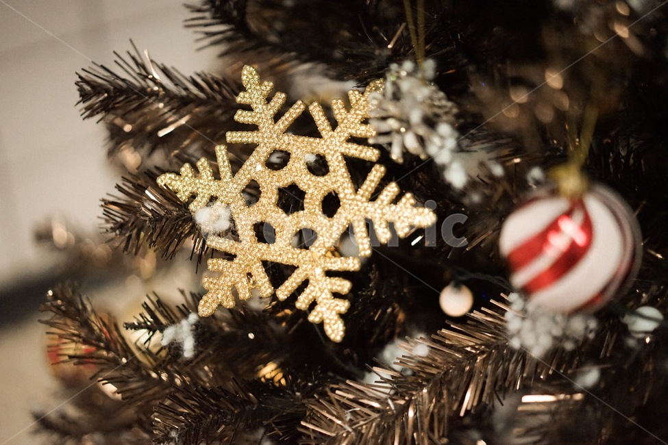 눈꽃,눈결정,겨울,트리,크리스마스,성탄절,겨울,계절,winter,season,메리크리스마스,성탄절,merry christmas