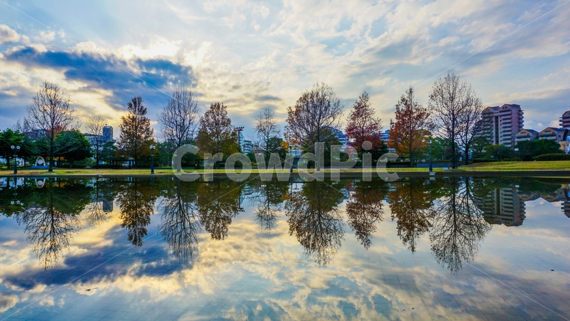 일본,후쿠오카,물,반사,식물,나무,하늘,감성,가을,계절,fall,autumn,season,도시,풍경,city,landscape,water,nature,자연,tree,plant,outdoors,옥외,land,땅,fir,전나무