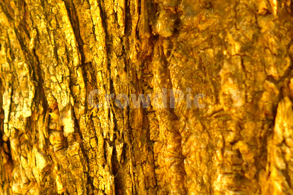 나무,배경,패턴,무늬,wood,텍스처,질감,패턴,texture,pattern