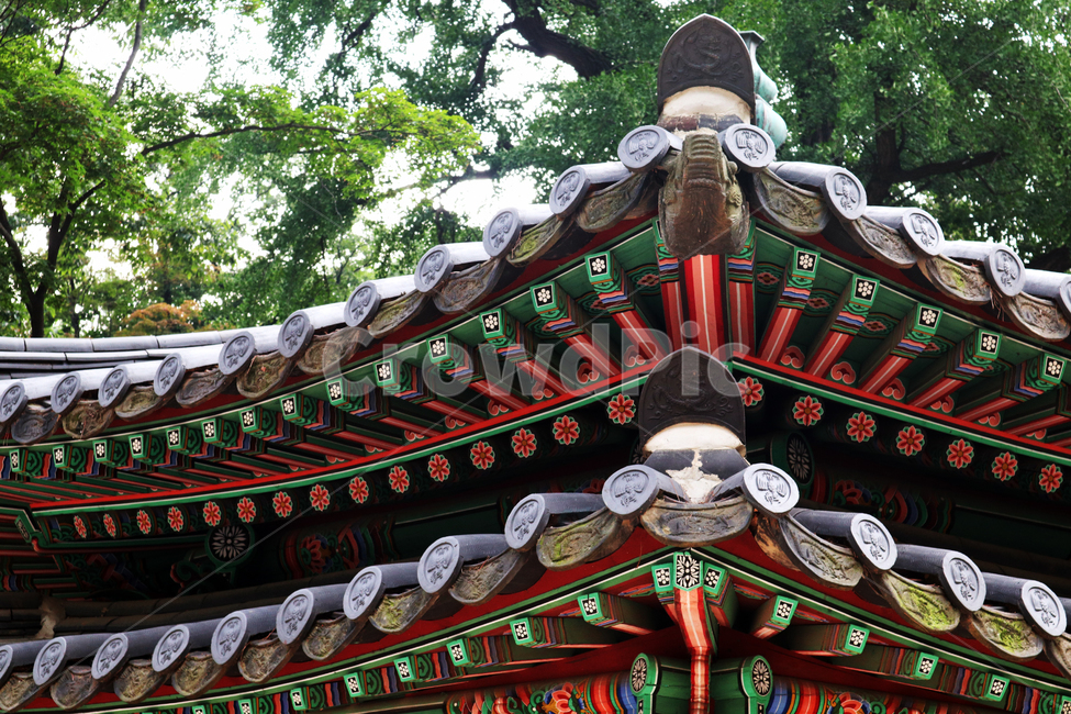 궁,궁궐,창덕궁,서울,관광,한옥,단청,오방색,문화재,한국문화재,유형문화재,한국전통,한국문화,한국랜드마크,한국관광지,한국명소,건축물,건물외관,후원,기와,오래된,화창한,나무,하늘,지붕,전통,전통무늬,창덕둥후원