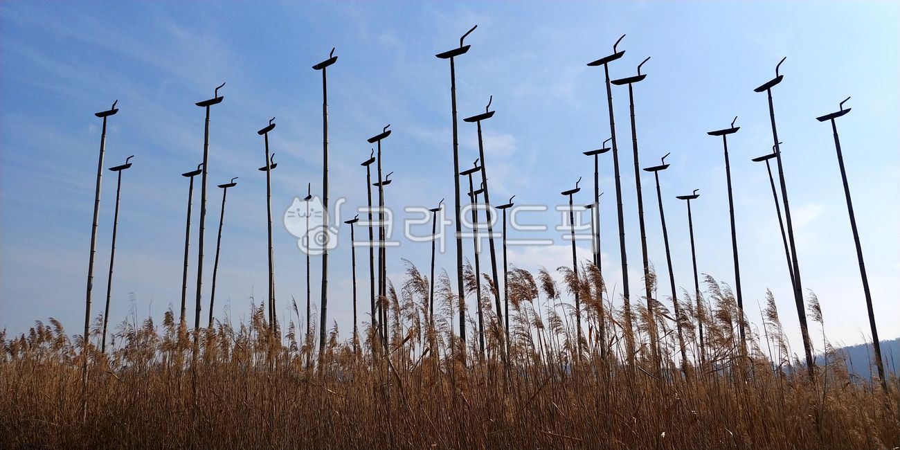 솟대, 전통, 조형물, 갈대, 억새, 사진,이미지,일러스트,캘리그라피 - 韓남자작가