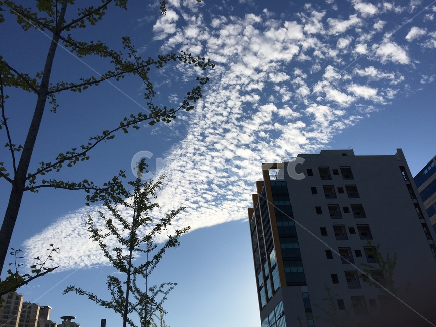 울산,도시,하늘,구름,봄,도시,풍경,city,landscape,office building,사무실 건물,building,건물,tree,나무,plant,식물