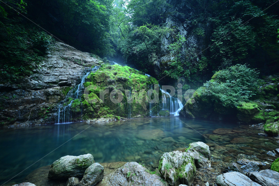 자연,water,물,nature,vegetation,무건리이끼계곡,자연,풍경,nature,landscape