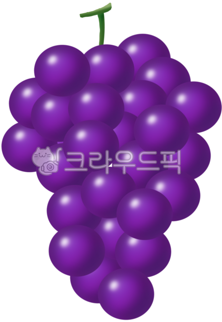 Grapes,purple,grape,snack,dessert,fruit,sweet,delicious,purple,grape png,grape illustration,illustration,illustration