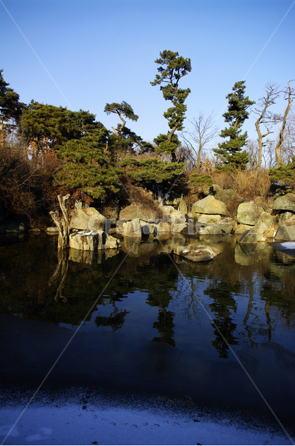 식물,plant,자연,nature,연못,나무,자연,풍경,nature,landscape,water,물,outdoors,옥외,land,땅