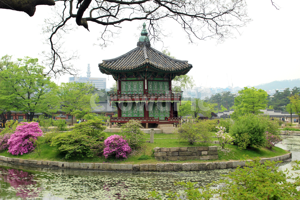 경복궁,향원정,한옥,정자,architecture,연못,한국전통,한국문화,korean traditional,korean culture,건축물,건물외관,exterior,building,structure,architecture,construction