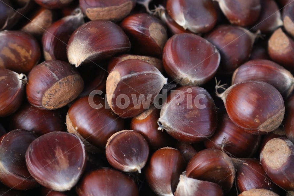 밤,갈색,열매,가을,chestnut,kuri,brown,chairo,fruit,jitsu,fall,aki,가을,계절,fall,autumn,season,음식,식재료,요리,food,cook,meal,dishes,food reserves,과일,열매,fruit,plant,식물