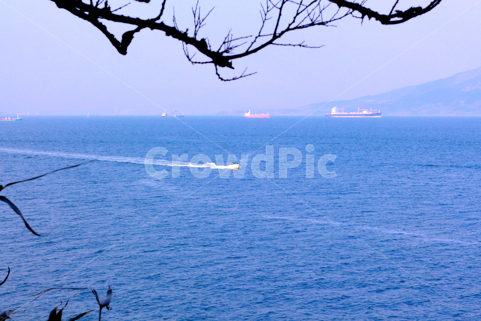 nature,자연,나무가지,바다,물,보트,해안선,풍경,water,sea