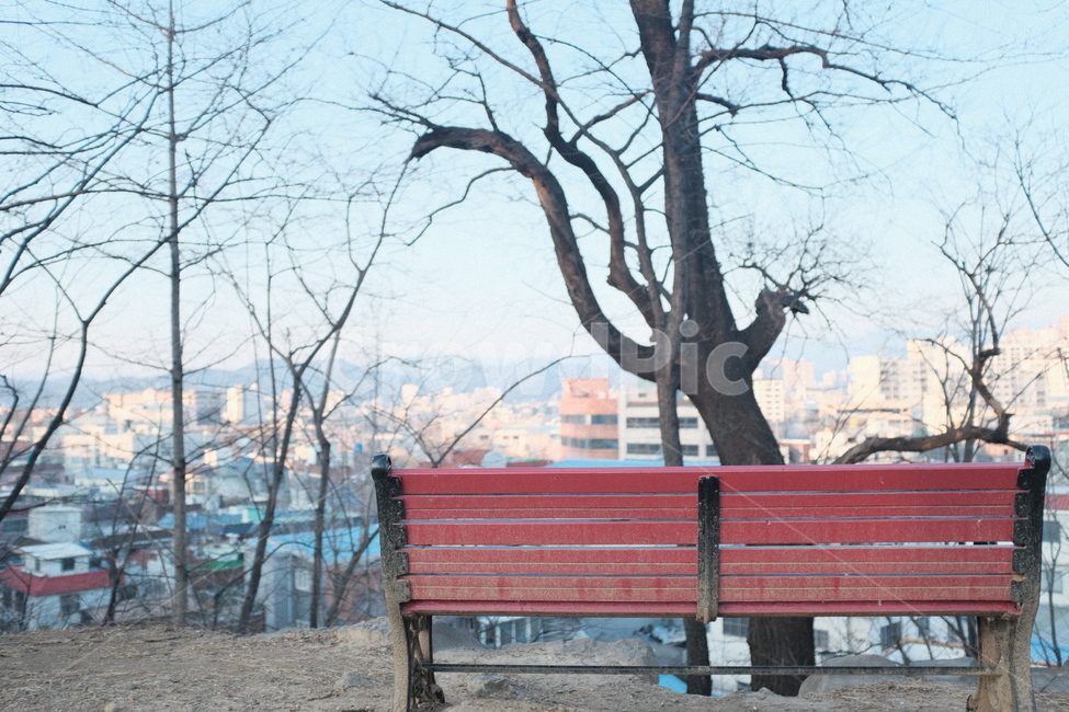 bench,벤치,furniture,가구,공원,park,나무,tree,쉼터,의자,chair