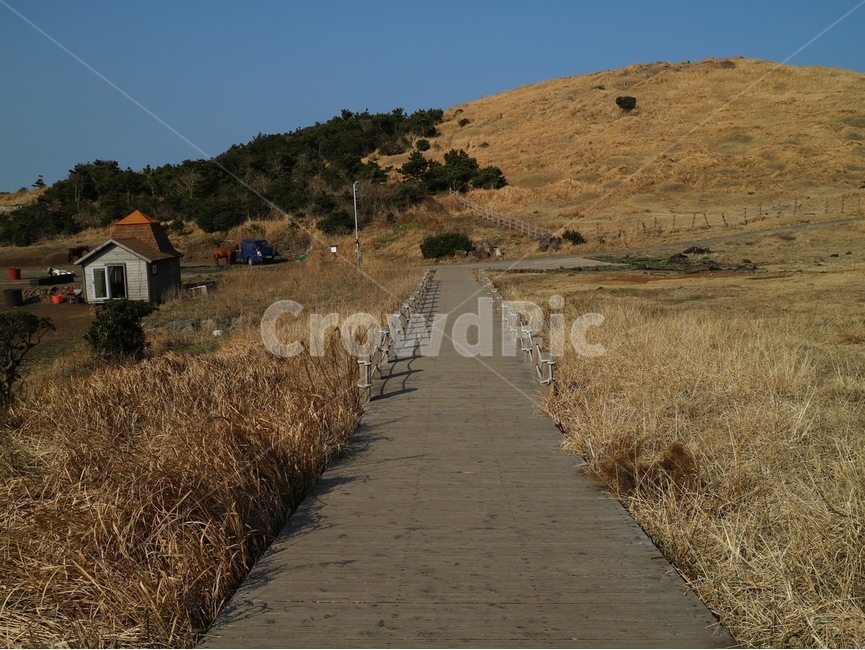제주,제주도,바람의언덕,섭지코지,푸룬하늘,파란하늘,돌담,섬,하늘,가을하늘,가을제주,제주하늘,배경화면,제주배경화면,fall,자연,nature,hill,언덕,옥외,잔디,들판,산책로,outdoors,boardwalk,자연,풍경,nature,landscape