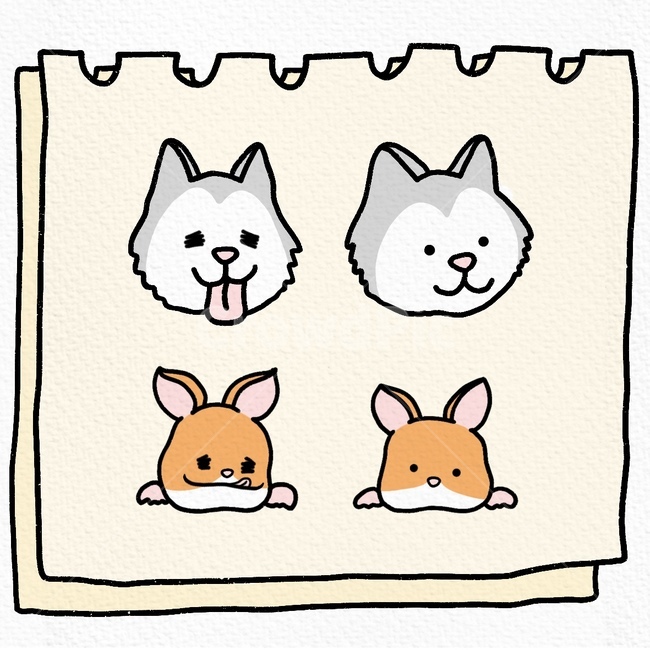 일러스트,햄스터,허스키,동물일러스트,배경화면,동물,animal,그래픽,일러스트레이션,graphic,illustration