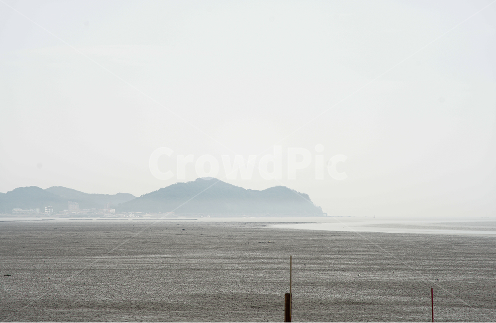 바다,안개,섬,갯벌,말뚝,풍경,자연,풍경,nature,landscape,한국자연풍경,한국자연경관,korea nature landscape,outdoors,옥외