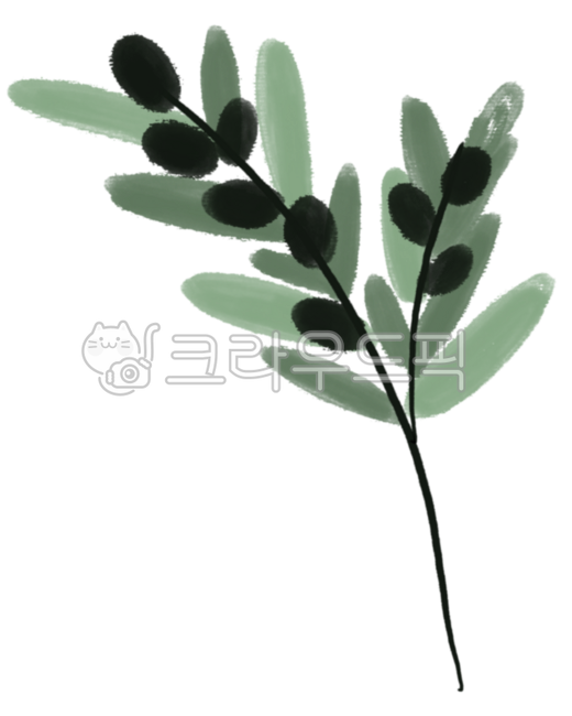 올리브,올리브가지,손그림,올리브오일,메뉴,식재료,신선식품,신선한,빈티지,음식,재료,장바구니