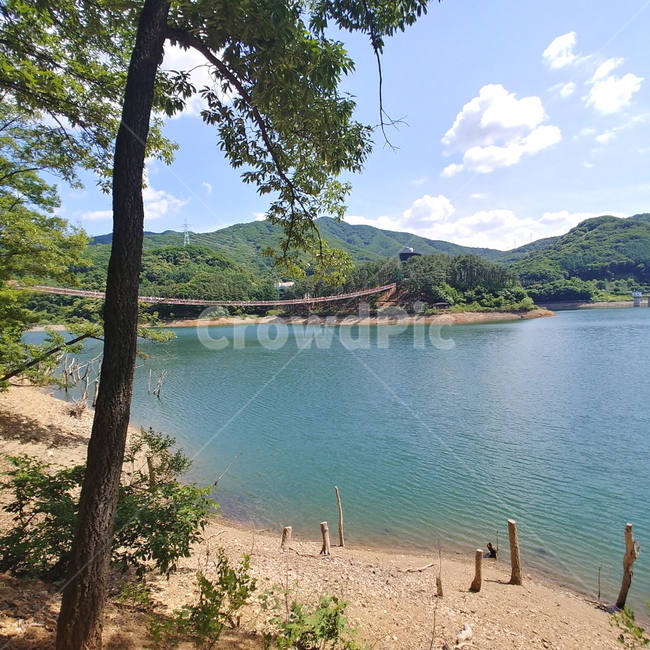 다리,흔들다리,산,풍경,바다