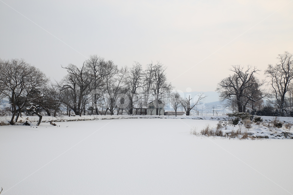 겨울,방죽골,청주,문의면,겨울풍경,감성,상고대,겨울,계절,winter,season,자연,풍경,nature,landscape