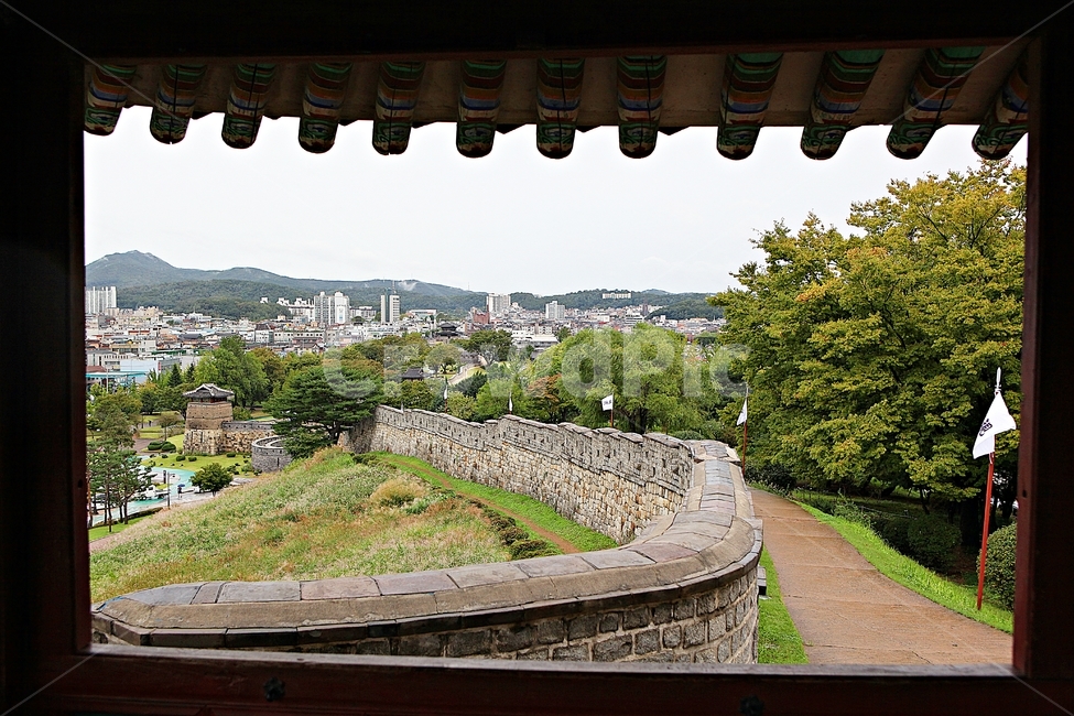 수원화성,성,성곽,길,둘레길,돌담,담,가을,자연,풍경,벽,방어벽,전통,흙담,식물,나무,산성,한국전통,한국문화,korean traditional,korean culture