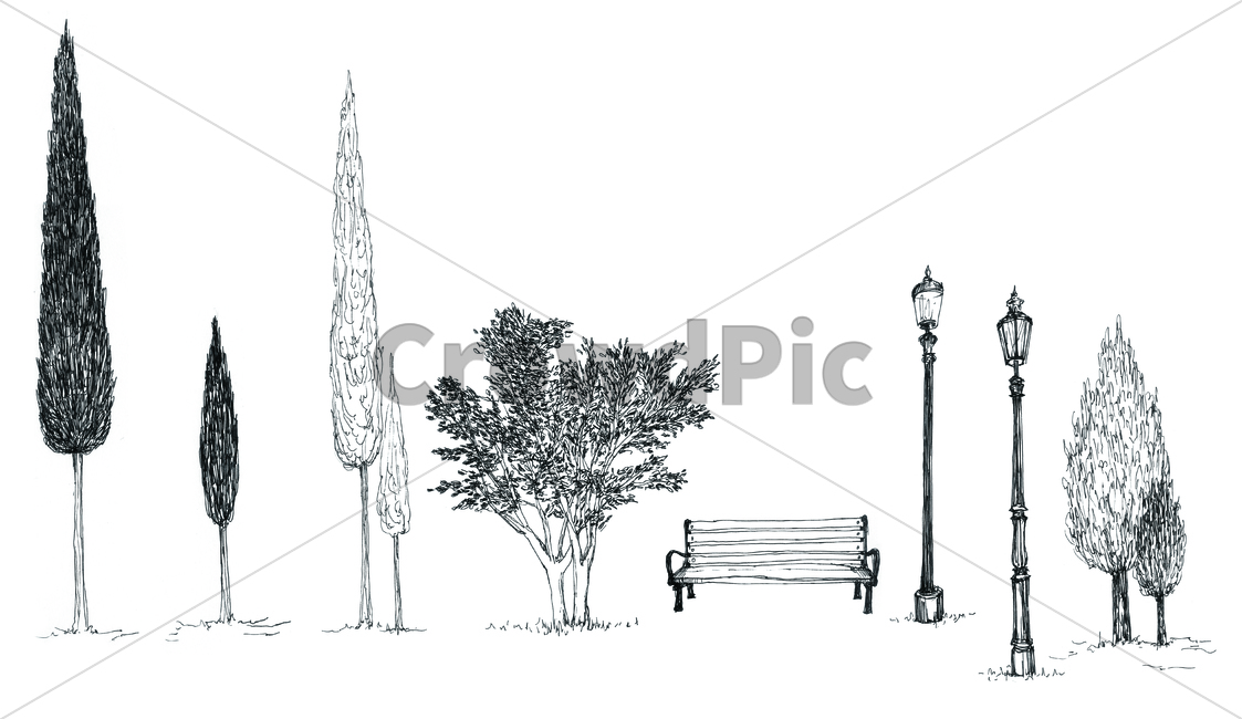 Bench,umbrage,branch,streetlight,pendrawing,Street lamp,handdrawing,streetlamp,fan drawing,twig,pen,penline,sprig,wood,bench,hand drawing,tree,leaf,bough,foliage,penpicture,fan line