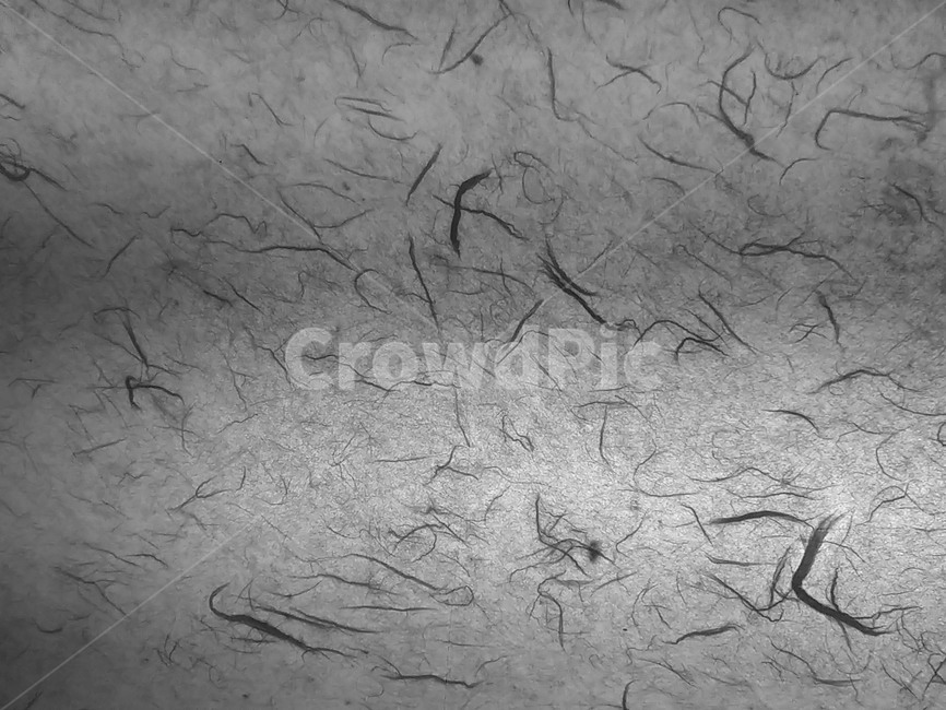 패턴,벽,장식,인테리어,벽장식문양,종이질감,닥종이,텍스처,질감,패턴,texture,pattern