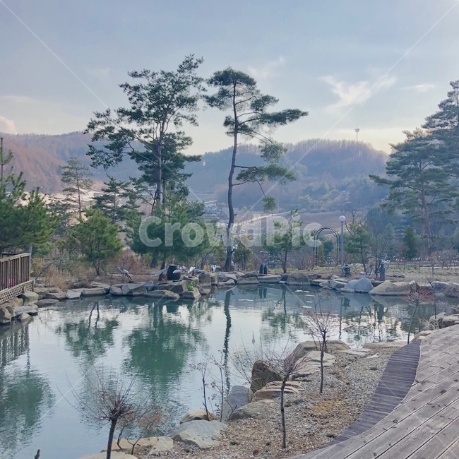 자연,수목원,호수,풍경,연못