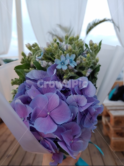 flower,꽃,꽃꽂이,꽃다발,수국꽃다발,수국다발