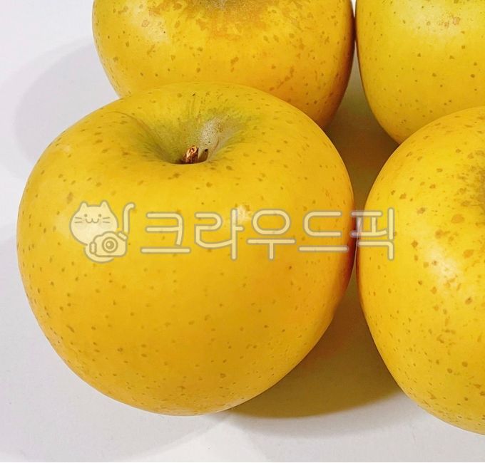 노란사과,황금사과,시나노골드,시나노골드사과,음식,간식,후식,디저트,과일,생과일,food,fruit,dessert,apple