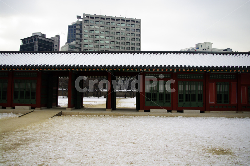덕수궁,고궁,건축,전통건축,traditional,전통,기와지붕,겨울,winter,풍경,설경,눈,겨울,계절,winter,season,한국전통,한국문화,korean traditional,korean culture