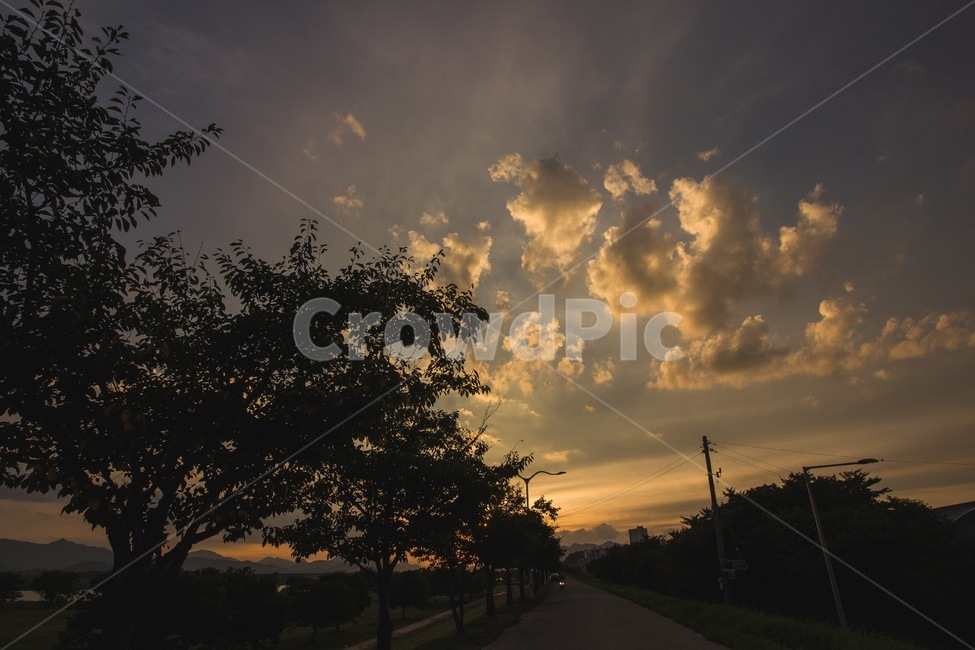 자연,옥외,햇빛,하늘,노을,나무그림자,nature,outdoor,sky,sunlight,구름
