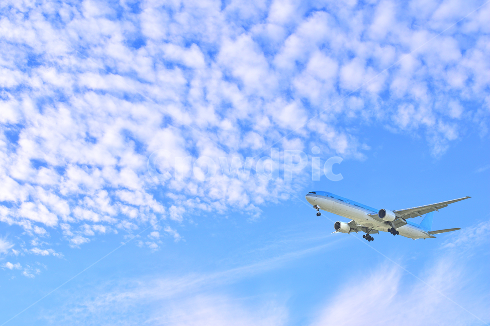 비행기,제트기,여객기,항공기,교통,운송,하늘,대중교통,날다,이륙,착륙,색감,새털구름,구름,sky,cloudy,배경,바탕,백그라운드,plane,aircraft,airplane,aeroplane,passengerplane,airliner,traffic,publictransportation,transportation,transport,shipping,airtransport,flying,교통,교통수단,traffic,transportation