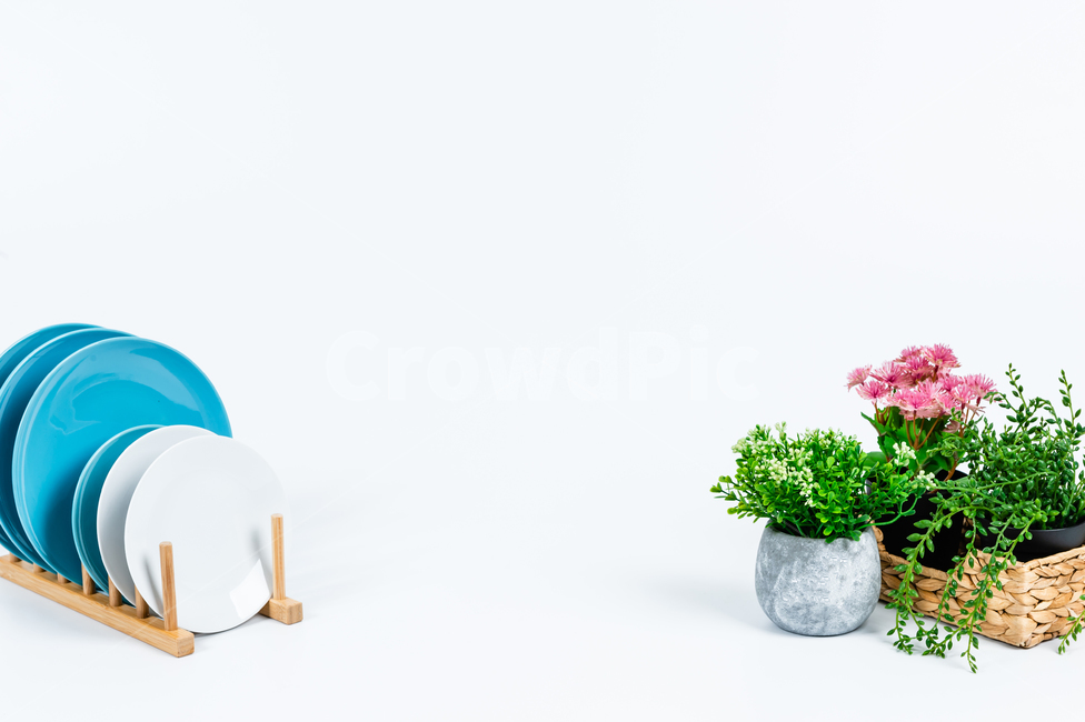 주방용품,접시,인테리어,장식,소품,실내,흰색,배경,공간,카피스페이스,깨끗한,노란색,동그란,반사,원형,파란색,도자기,현대적인,정돈된,나무,목재,화분,식물,녹색,꽃,분홍색,회색,바구니,식물,자연,plants,nature,꽃,flower,실내용화초,화분,화초,house plant,사물,물건,오브젝트,thing,object,matter,연출,컨셉,콘셉,direction,concept