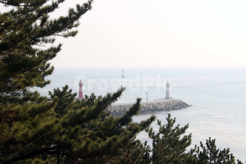 바다,바닷가,파도,해안가,수평선,자연,풍경,절경,해안도로,하늘,절벽,해안절벽,나무,윤슬,물거품,부산,겨울바다,파란색,바위,등대,청사포,전망대,자연,풍경,nature,landscape,등대,lighthouse,tree,plant,식물,fir,전나무,conifer,구과 식물