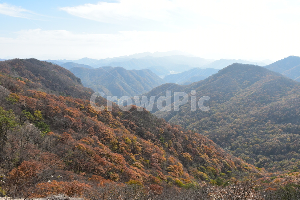 자연,풍경,단풍,계절,가을,잎,붉은,노란,낙엽,나무,백암산,fall,autumn,season,nature,landscape,한국자연풍경,한국자연경관,korea,tree,maple,leaf,가을,계절,fall,autumn,season,자연,풍경,nature,landscape,outdoors,옥외,hill,언덕