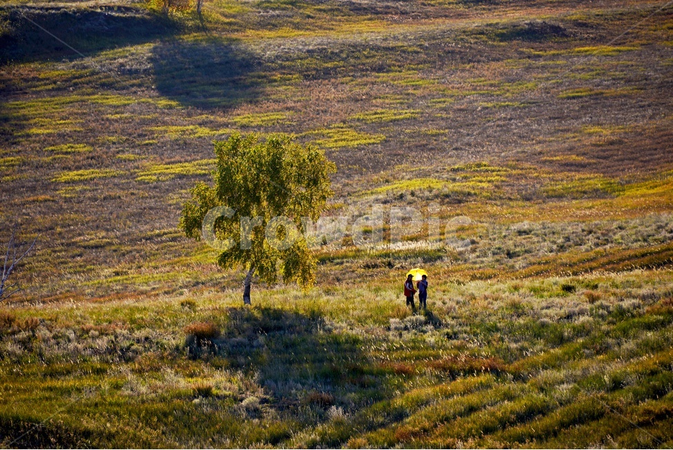 ground,바닥,human,인간,person,사람,outdoors,옥외,grassland,목초지,field,들,landscape,경치,nature,자연,scenery,풍경,중국,몽고,패상,패상가을