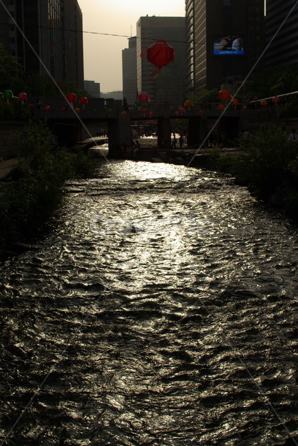 청계천,서울,도시,동대문,한국도시풍경,도심속힐링,water,물,outdoors,옥외,nature,자연,ditch,도랑