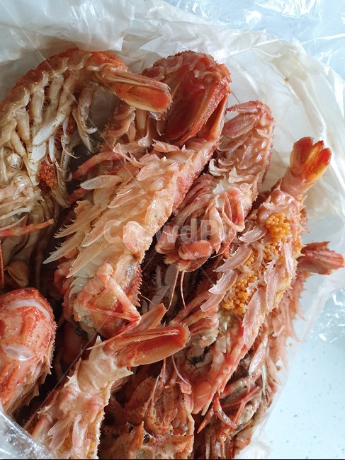 곰새우,씨푸드,seafood,수산물,새우,러시아,마켓,market